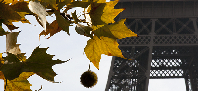 Autumn @ Eiffel