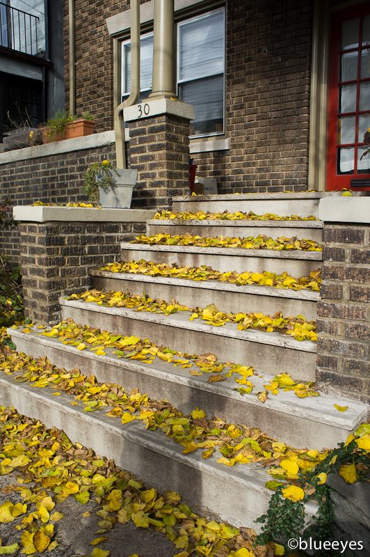 Autumn stairs in Liberty Place, New Jersey, November 2011