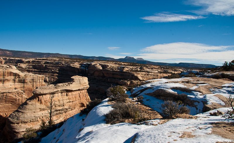 Natural Bridges National Monument