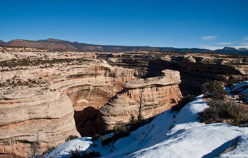 Natural Bridges National Monument