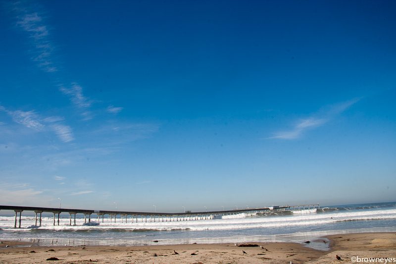 Ocean Beach