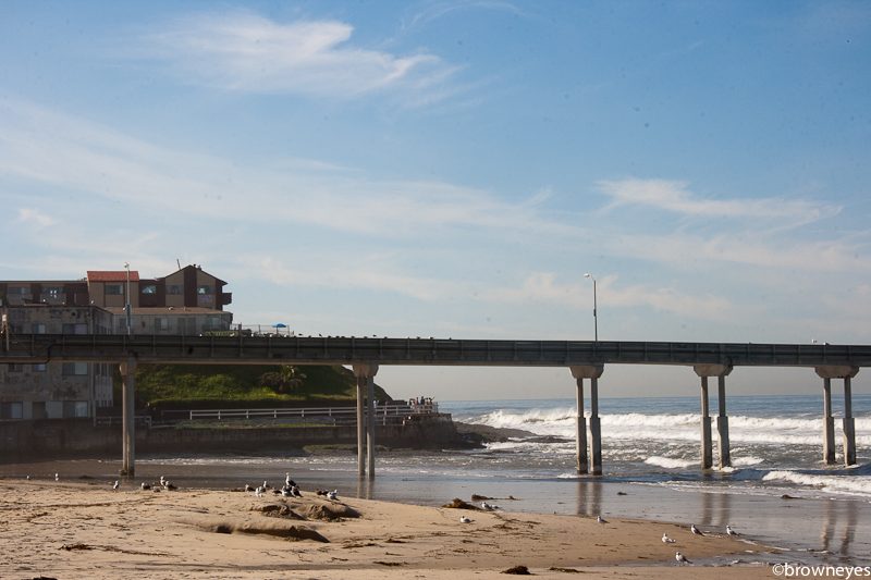 Ocean Beach