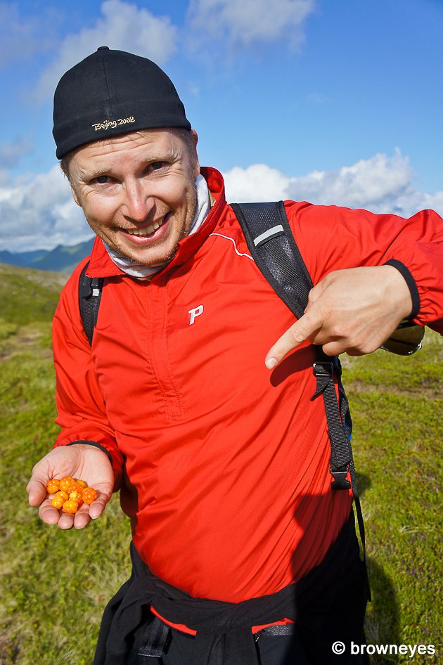 Found wild gooseberries growing on the Ballstad mountain; was told that they're one of the more expensive berries