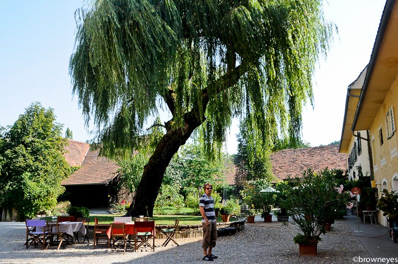 Schloss Gamlitz - this pretty place was once the wedding venue of Hans' sister.