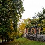 Autumn trees next to the Chinese Pavilion at Drottningholm Palace