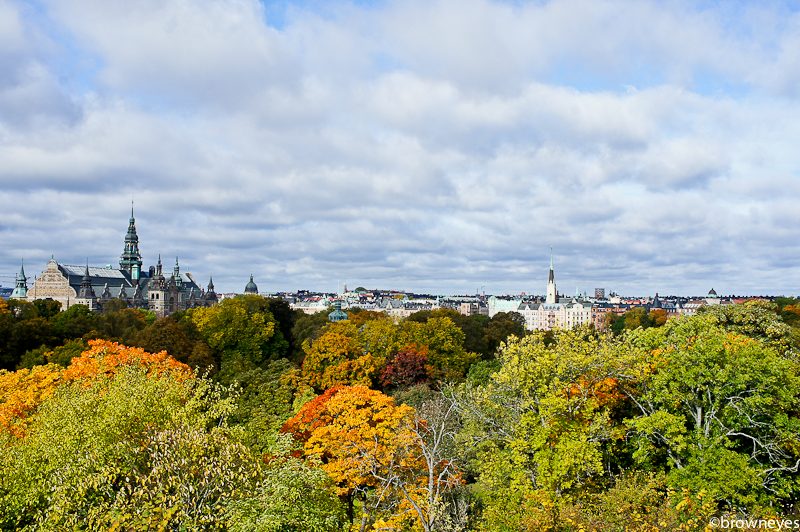 Stockholm city seen ahead from Skansen