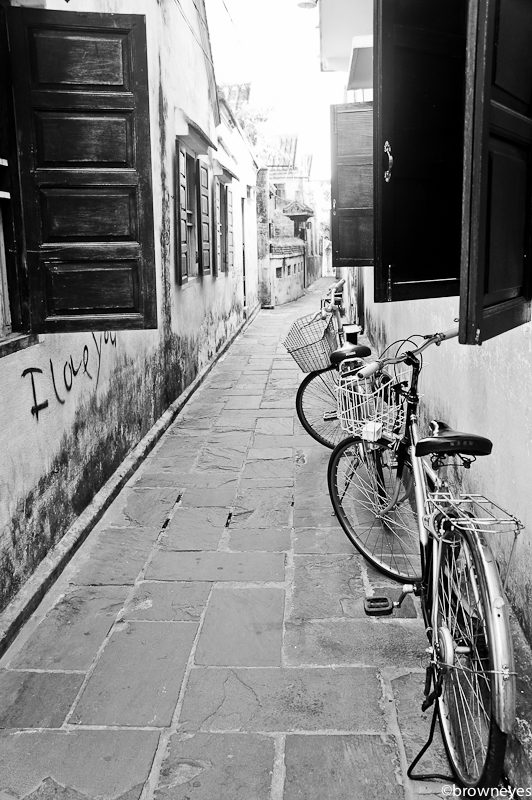 Hoi An boasts of charming alleys like this that brings you back to the 15th century.